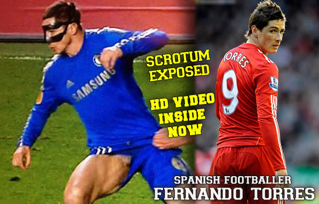 Fernando Torres, Spanish footballer 